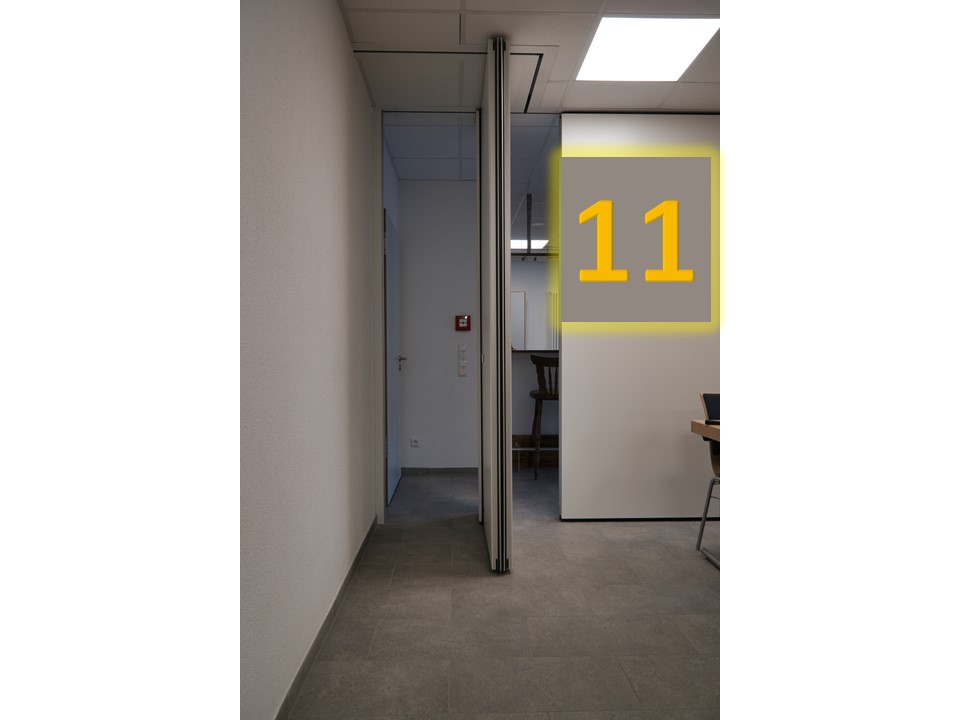 Tuer11